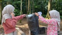 Clean The Situ Gede Akhiri Wisata Tarbiyat Lajnah Imaillah Cibeureum Bogor