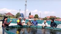 Pelatihan di Balai Besar Budidaya Air Tawar Sukabumi, Sekertaris Jiroat PB JAI Kenalkan Sistem Bioflok