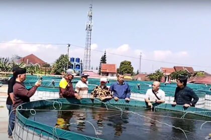 pelatihan budidaya perikanan di balai besar air tawar sukabumi