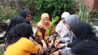 Ikut Sukseskan Pemilu, Muslimah Ahmadiyah di Kuningan Tanam Bibit Pohon di TPS