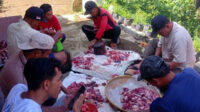 Pengabdian Jemaat Ahmadiyah Kersamaju ke Masyarakat, Salurkan Lebih dari 100 Bungkus Daging Kurban