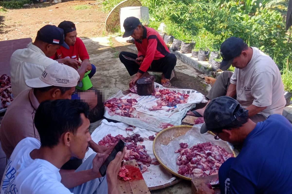 kersamaju