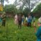 Gerakan penanaman pohon oleh Jemaat Ahmadiyah Sukabumi Raya