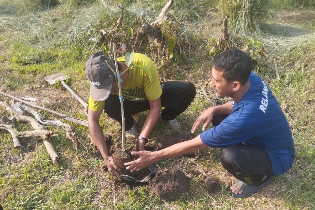 Jemaat Ahmadiyah Luwu Utara menggelar kegiatan penanaman pohon, Minggu 19 Oktober 2025.
