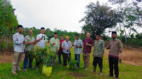 Jemaat Ahmadiyah Kalbar Tanam Pohon di Kampung Anam dalam Program Tasyakur 100 Tahun