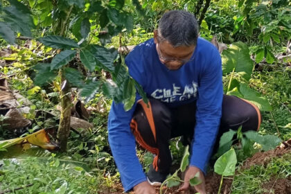 Jemaat Ahmadiyah Pagentan ikut sukseskan program penanaman 100 ribu pohon