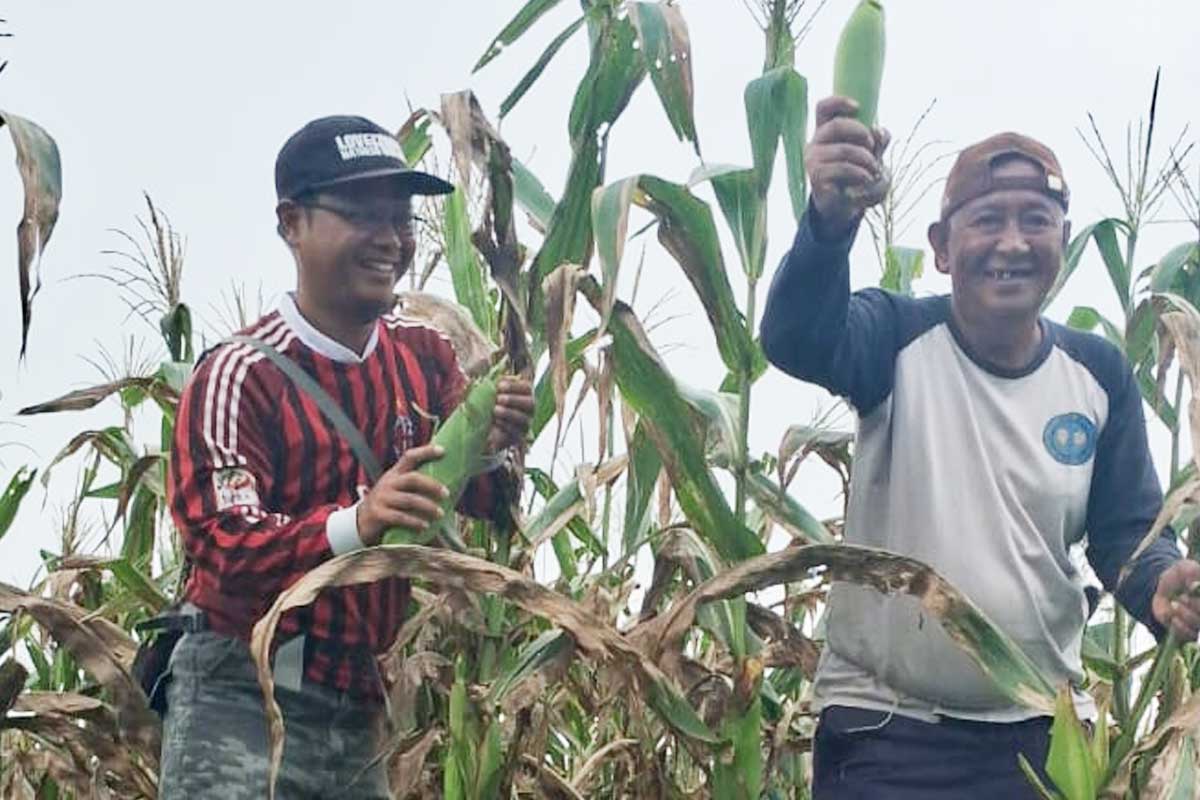 Kelompok Tani Ansarullah