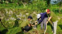 Tanam Pohon di Lapangan Desa, Jemaat Ahmadiyah Manislor Wujudkan Peduli Lingkungan