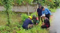 Jemaat Ahmadiyah Mataram Laksanakan Penanaman Bibit Pohon di Desa Gegerung