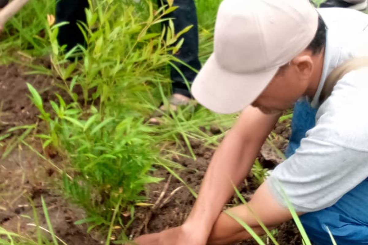 Ahmadiyah Pagedangan