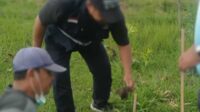 Jemaat  Ahmadiyah Sukabumi Dukung Program Lingkungan Lewat Penanaman Pohon