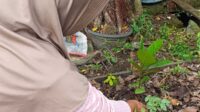 Jemaat Ahmadiyah Karawang Tanam Pohon Serentak Peringati Hari Lingkungan Hidup