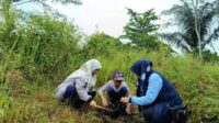 Lajnah Imaillah Singaparna Tanam Bibit Pohon, Wujud Nyata Perempuan Peduli Lingkungan