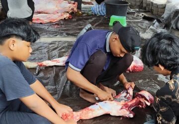 Momen Idul Adha, Jemaat Ahmadiyah Palangka Raya Potong 2 Ekor Hewan Kurban