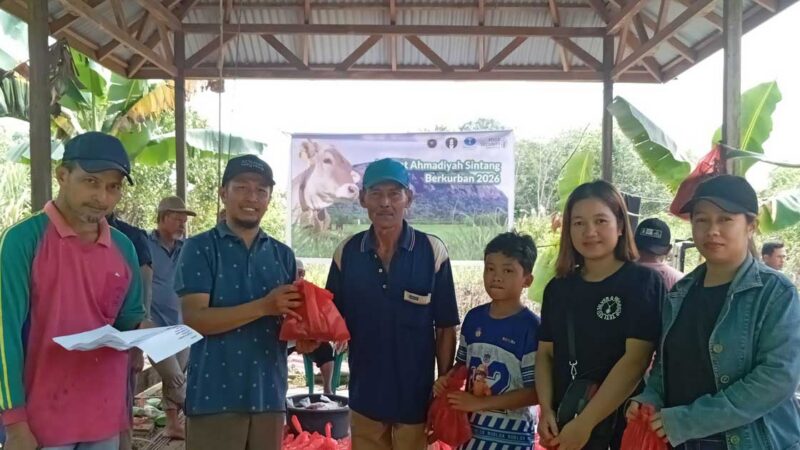 Momen Idul Adha, Ahmadiyah Sintang Salurkan 250 Paket Daging Kurban untuk Dhuafa