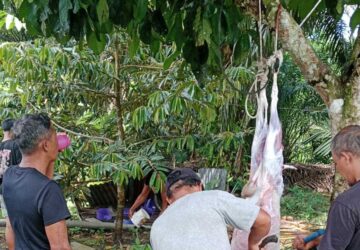 Semangat Kurban, Rabtah Jemaat Ahmadiyah Andeng Terus Terjalin Hangat