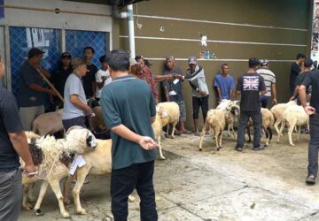 Jemaat Muslim Ahmadiyah Manislor Tebar 3 Ribu Kantong Daging Kurban