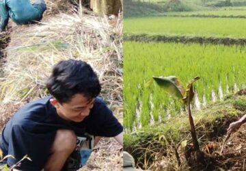 Babat Semak Belukar, Ratusan Anggota JAI Cisalada Bersihkan Jalan Menuju Pemakaman