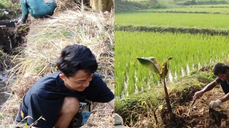 Babat Semak Belukar, Ratusan Anggota JAI Cisalada Bersihkan Jalan Menuju Pemakaman